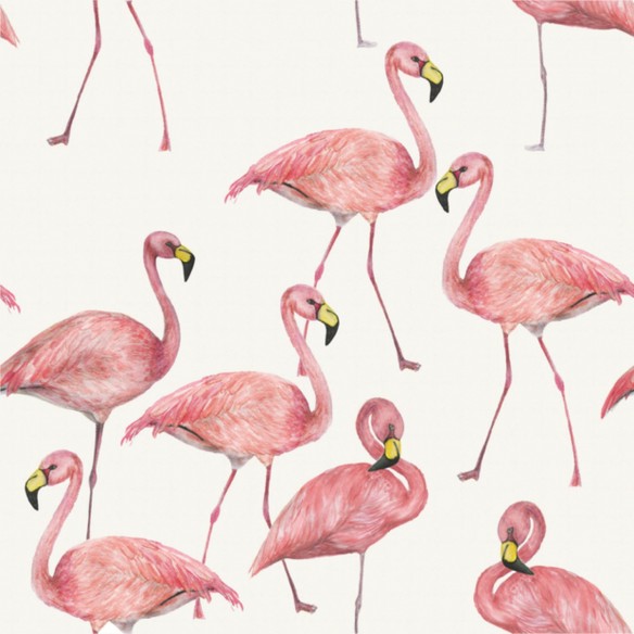 Single Jersey bedruckt - Flamingos