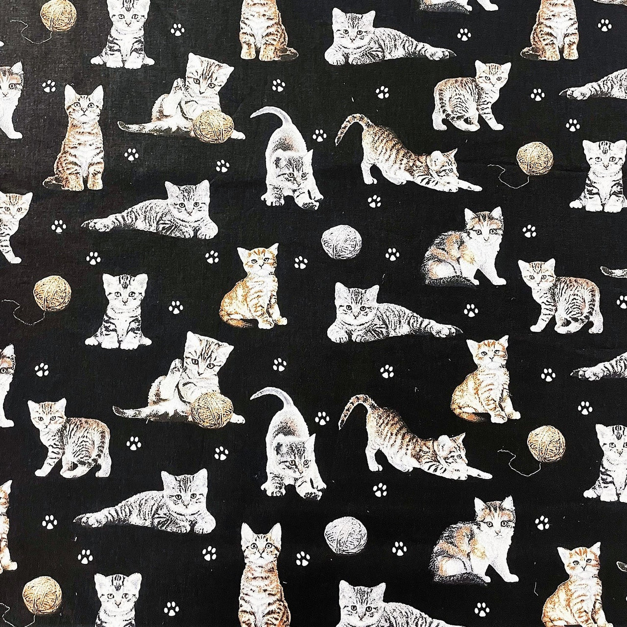 Cotton Fabric - Cats Paws and Yarn on Black