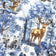 Baumwollstoff - Weihnachtslandschaft in Blau
