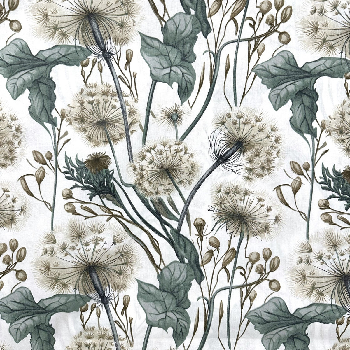 Cotton Fabric - Dandelions, sage