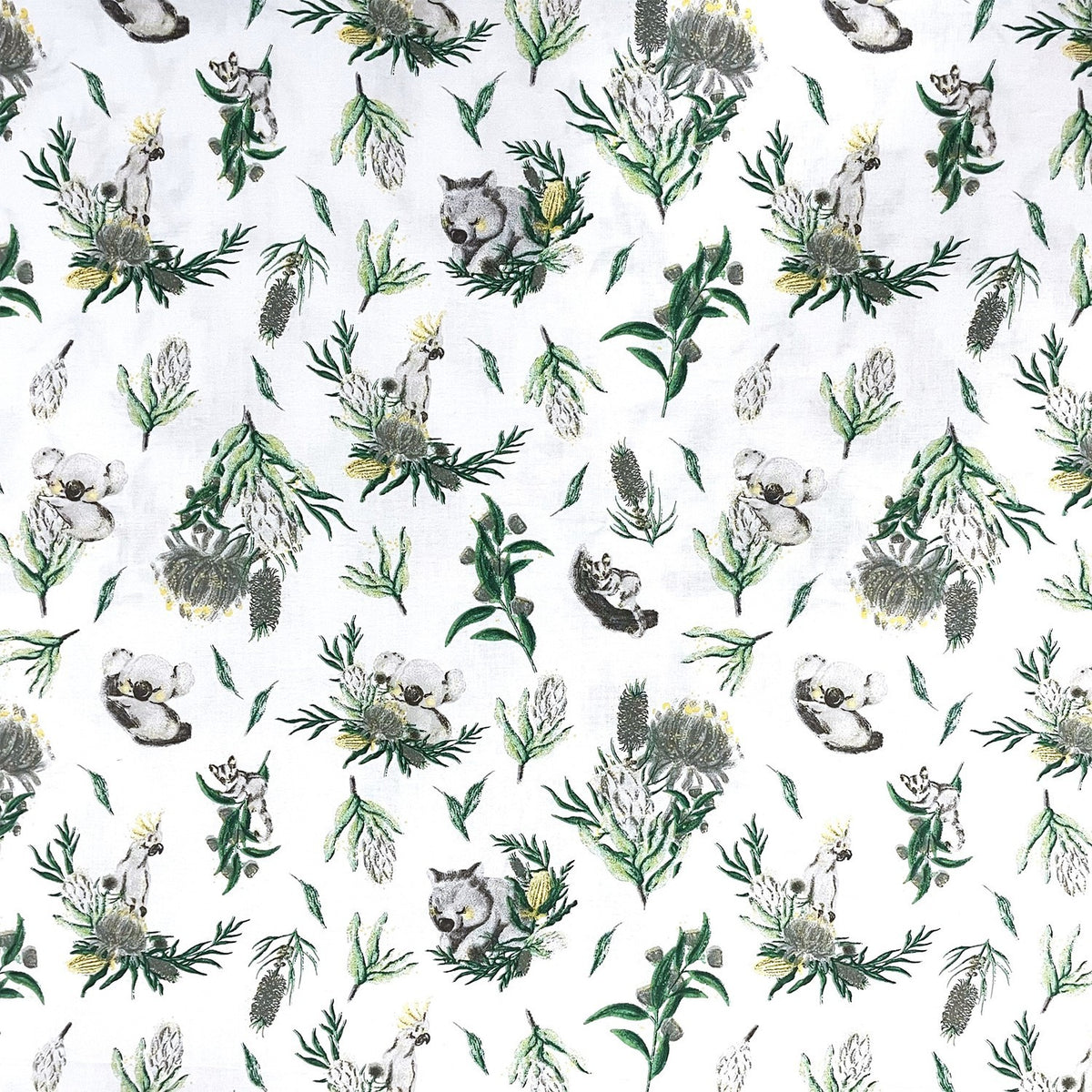 Cotton Fabric - Koalas