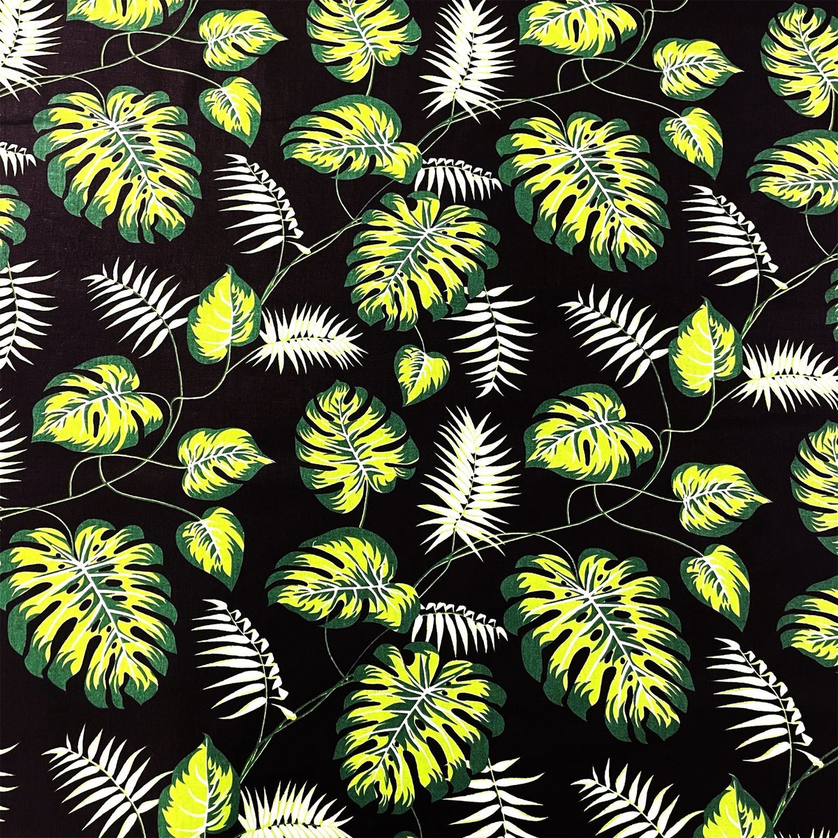 Cotton Fabric - Mini Green Monstera on Black